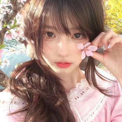 车仔西游记